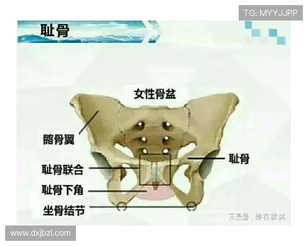 伊尼亚基透露尼科耻骨伤情困扰