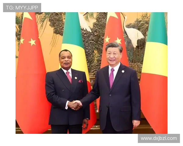 刚果足协主席涉嫌挪用资金潜逃 刚果足协主席涉嫌挪用资金潜逃